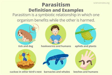 Factors Affecting the Shift from Parasitic Infection and Diseases <b>3</b>. . 3 examples of parasitism in the ocean